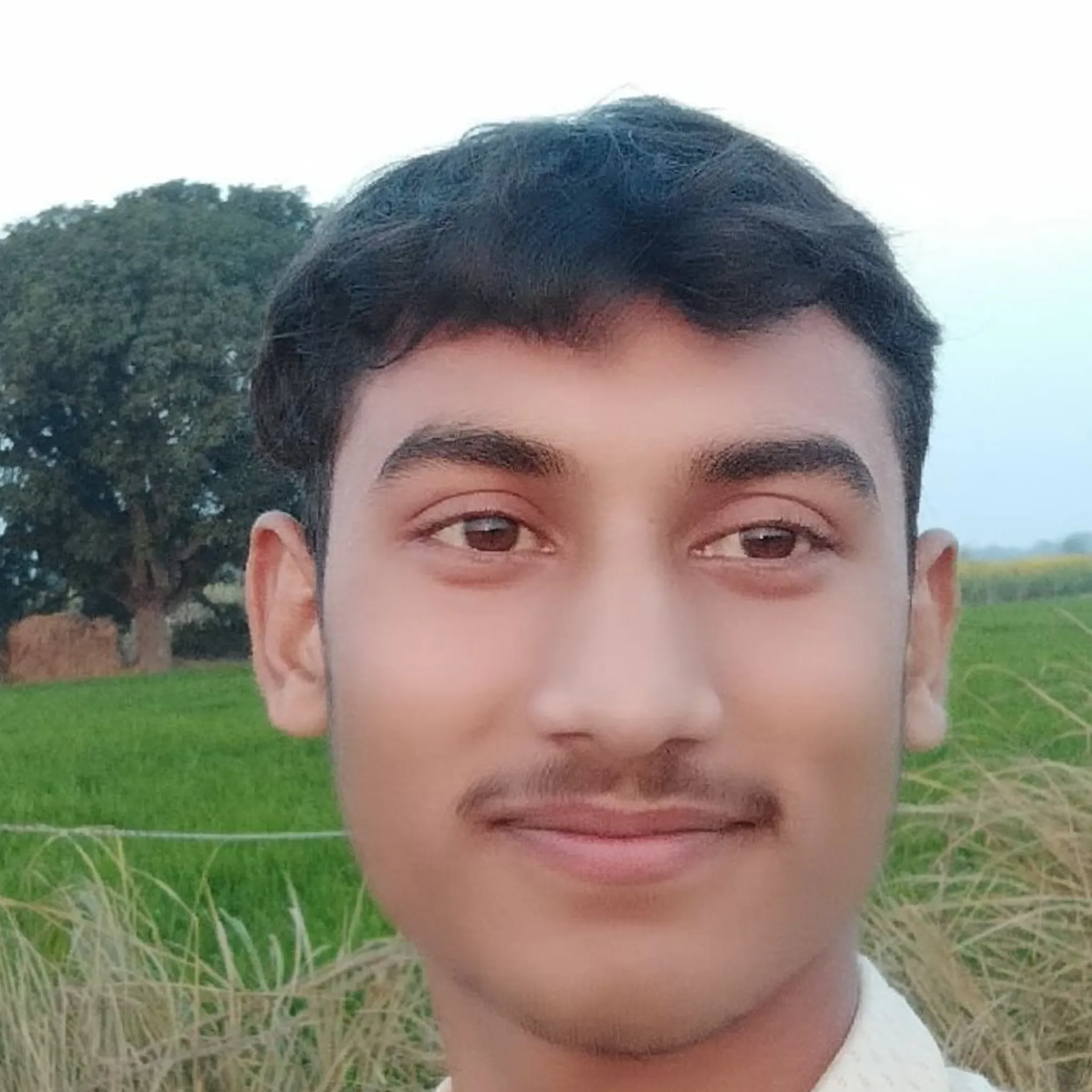 amit pal