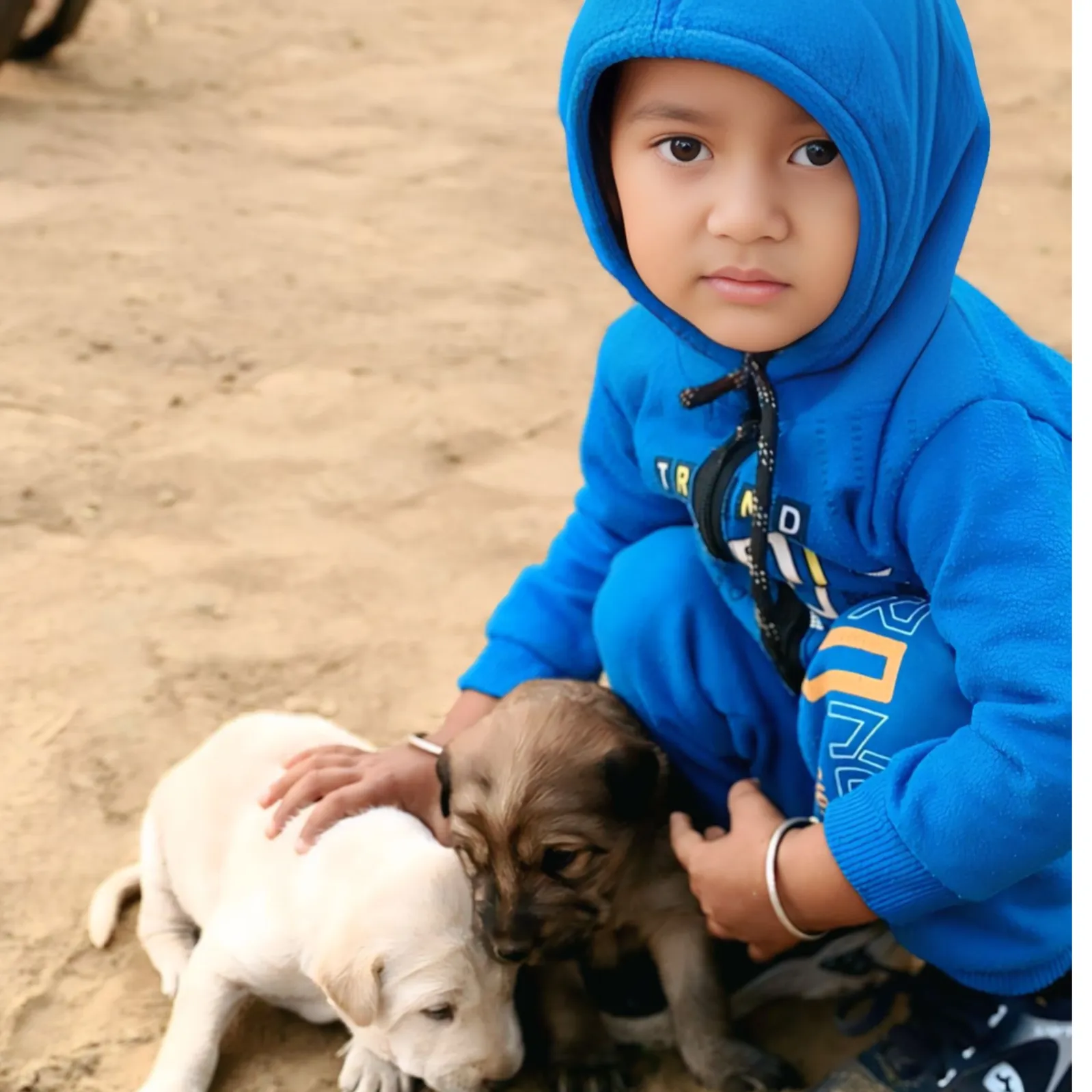 SUNIL _MEENA_6412