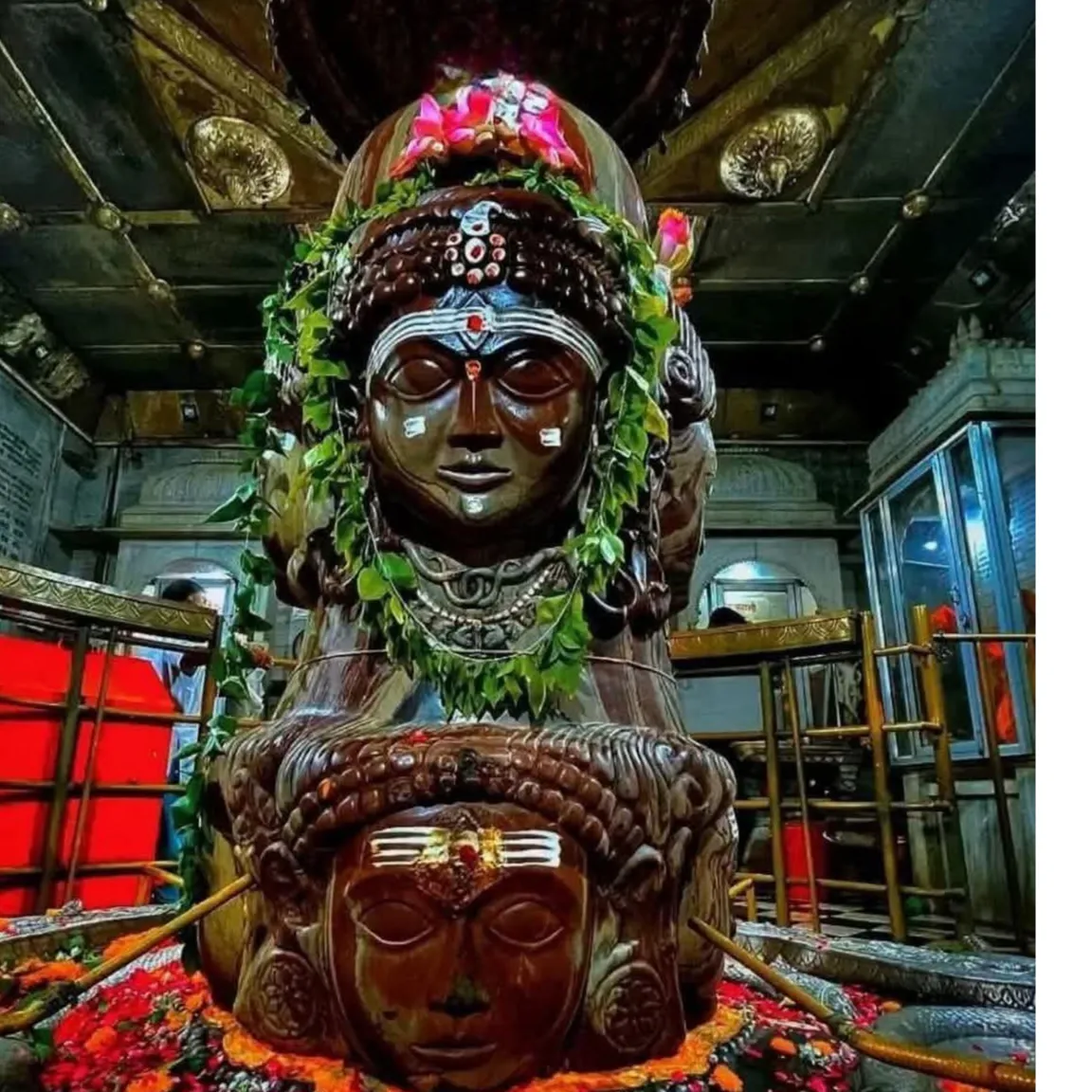 sanatani hindu