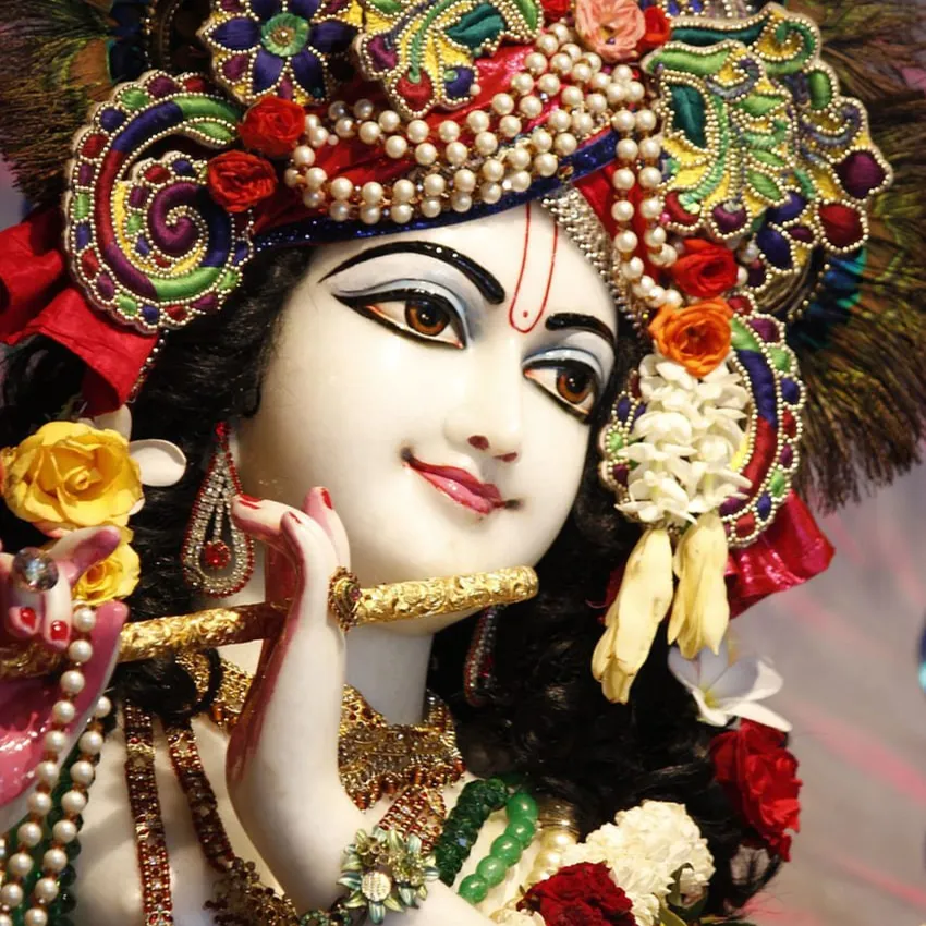 KRISHNA PRAJAPATI