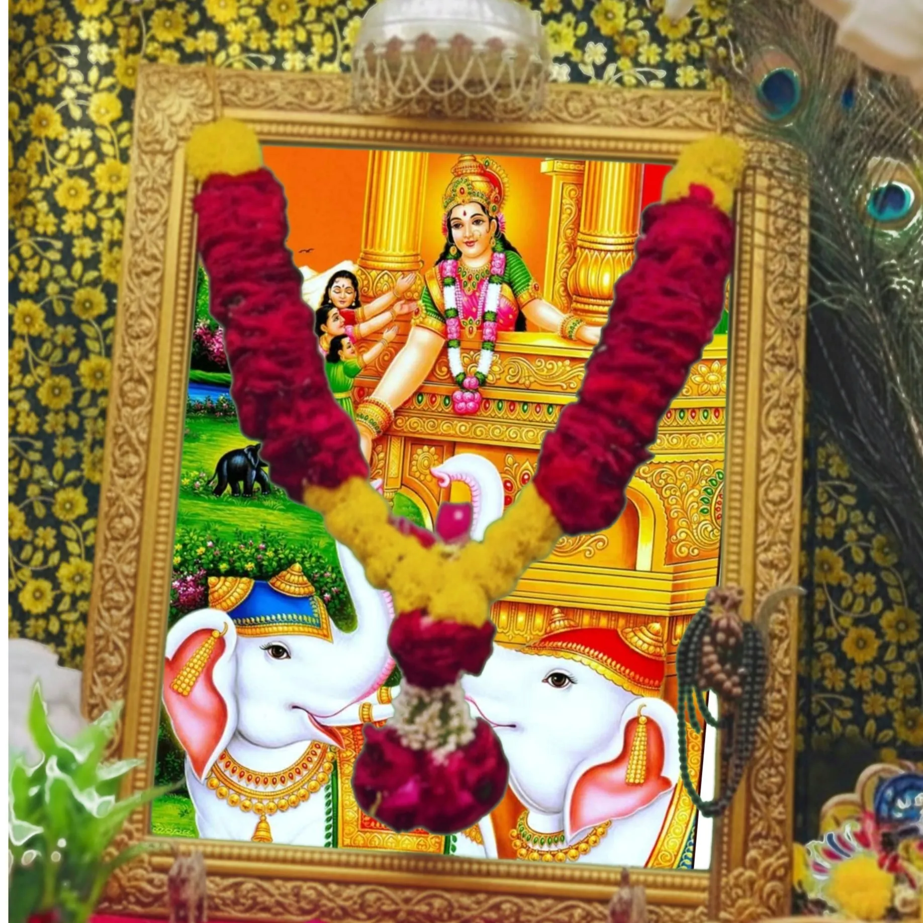 kishan dodariya