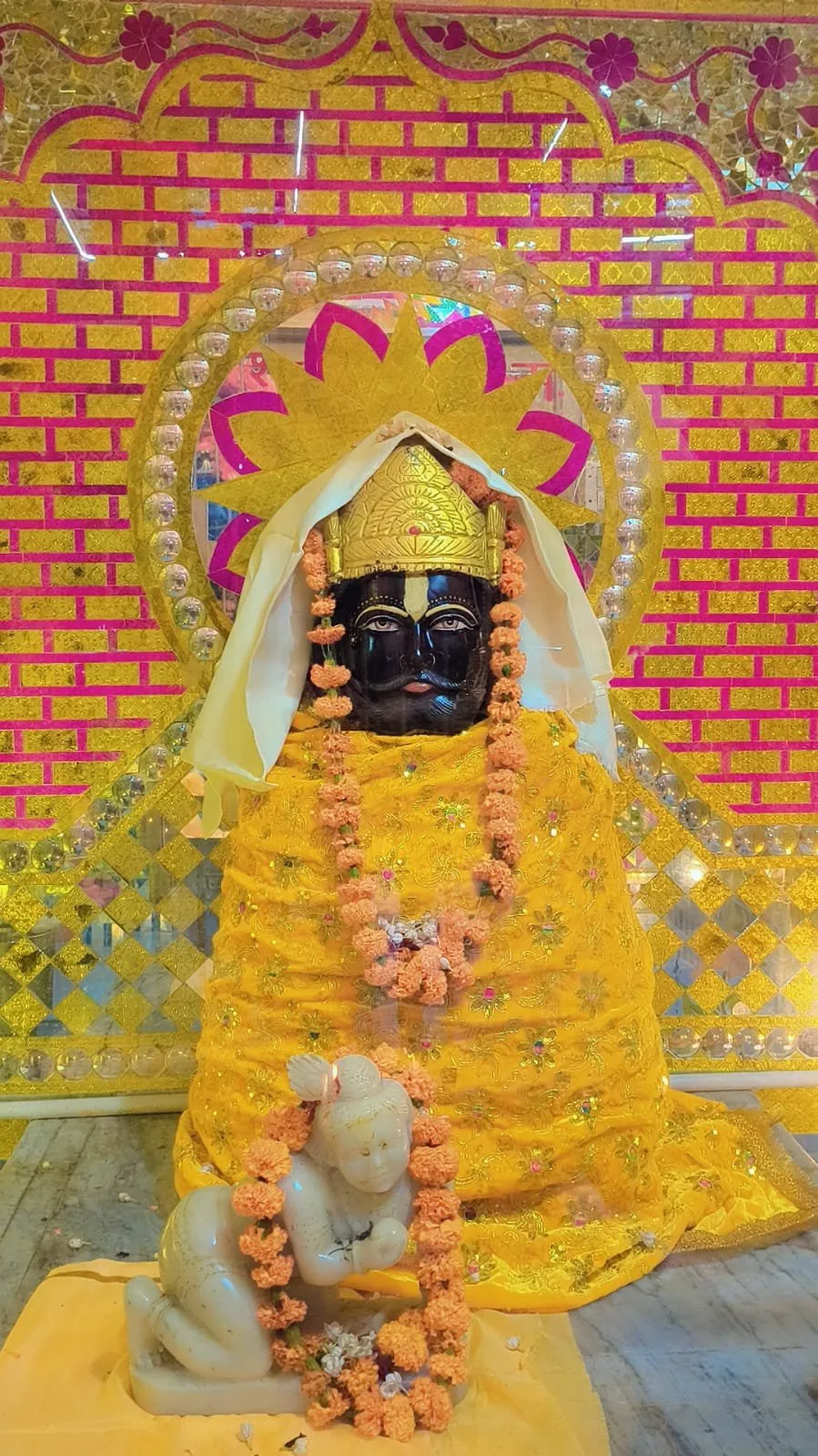 surender malik