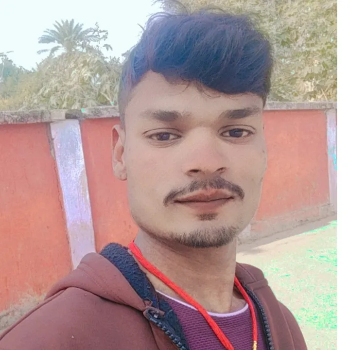 rabish panda