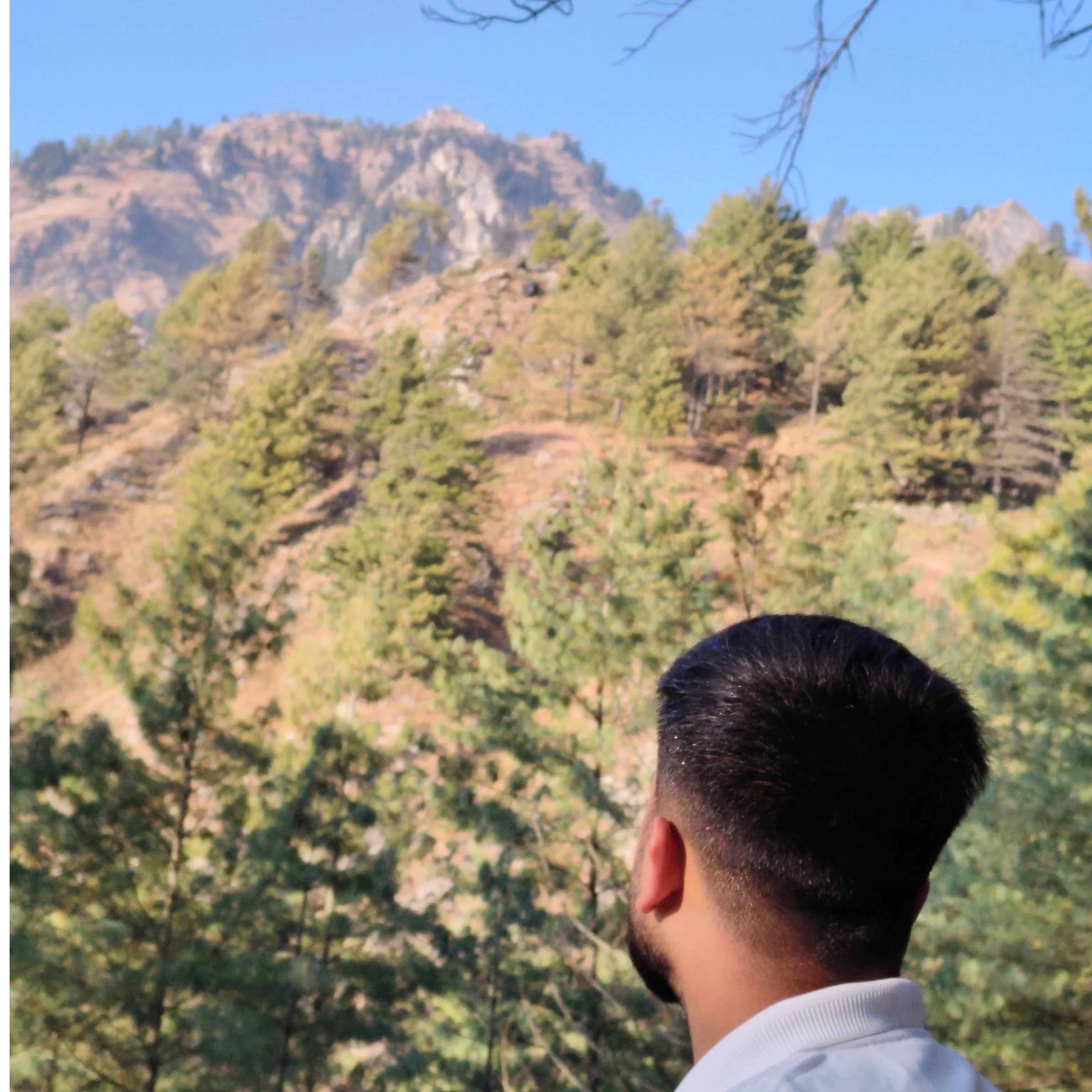 Vijay Sharma