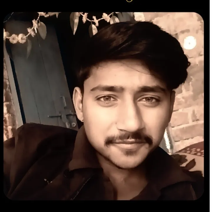 Dev pal
