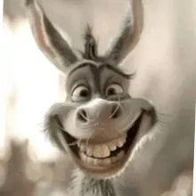 MEMES WORLD 🌍 funny memes