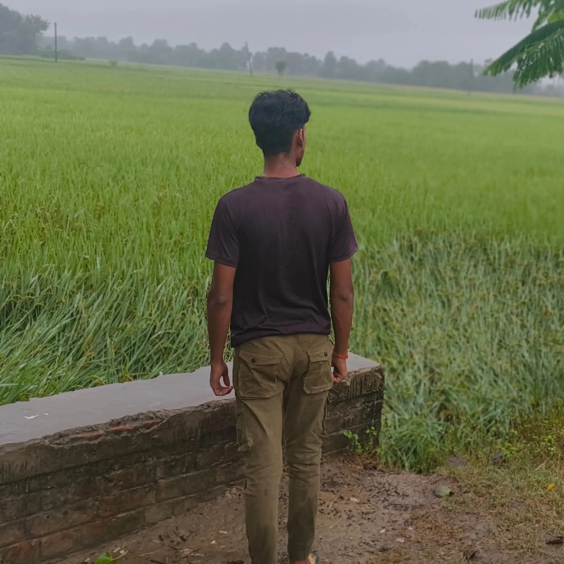 Bipin Sharma