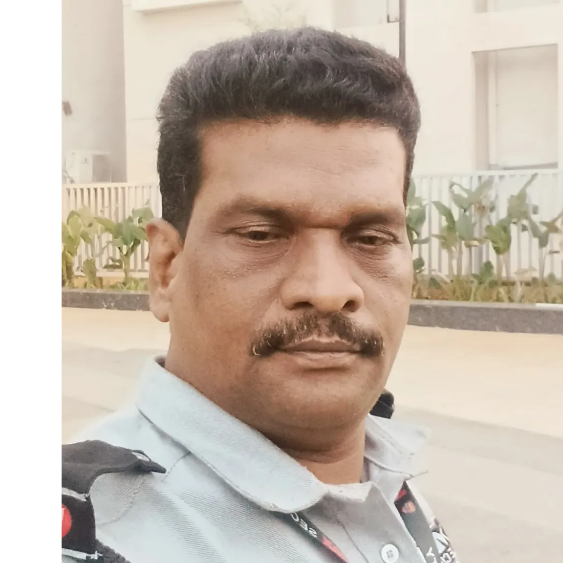 వెంకటరమణ రమణ