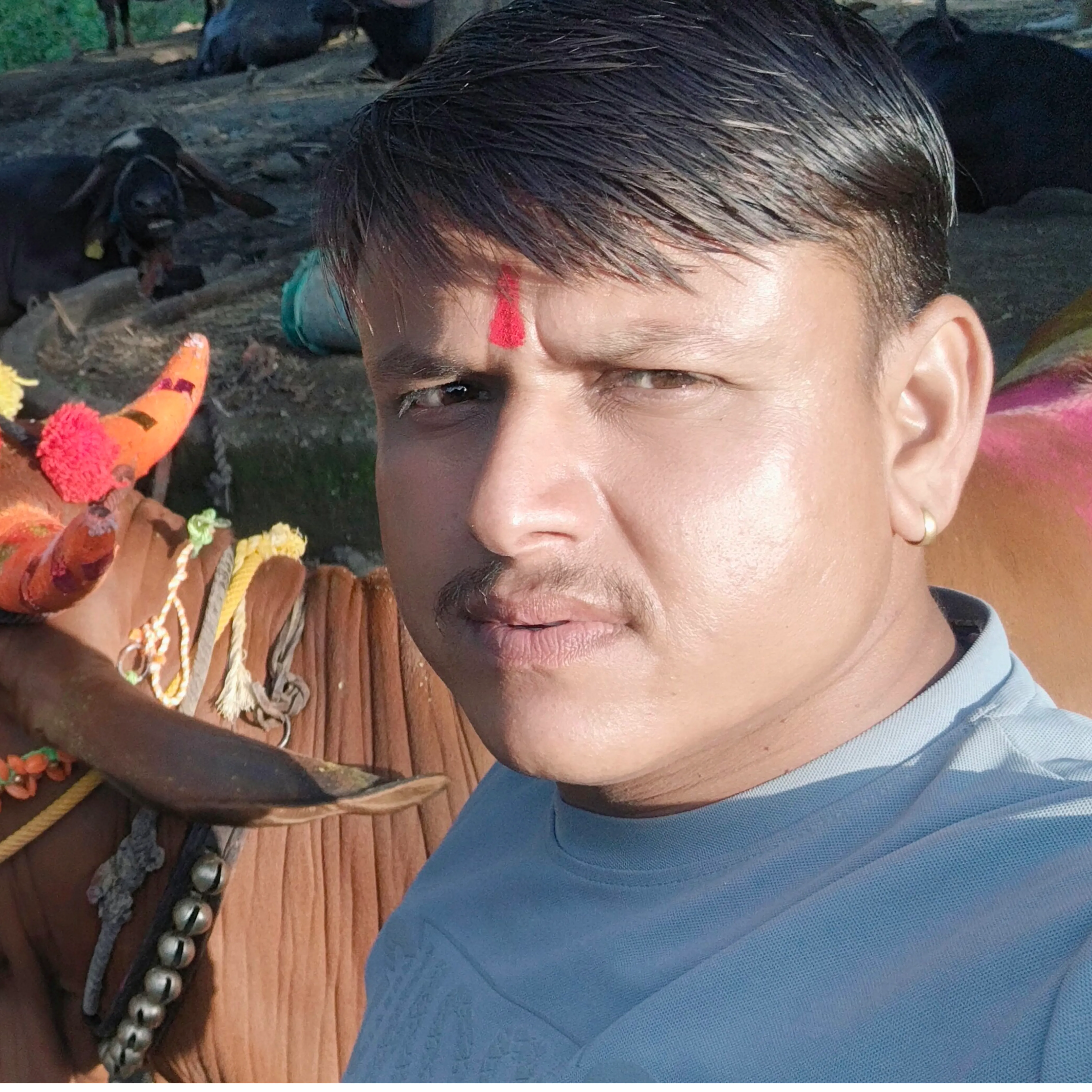 Pandurang z