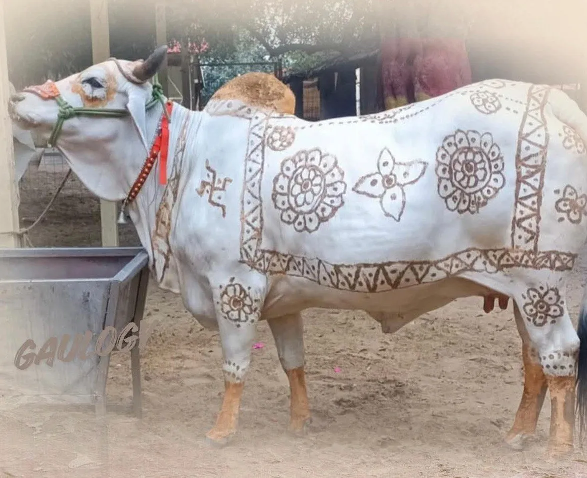 vedic_pawa_ bhardwaj