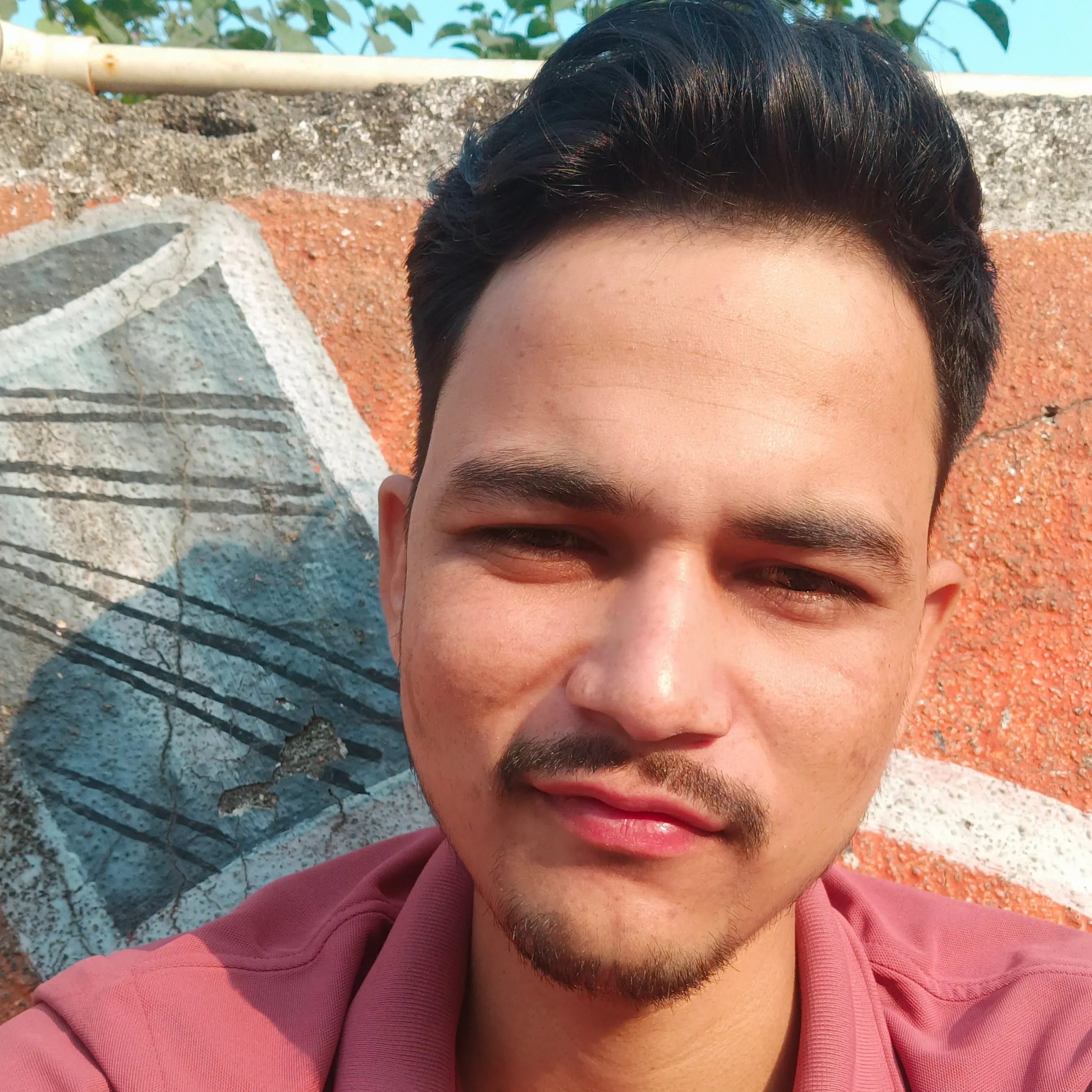Tara Chand