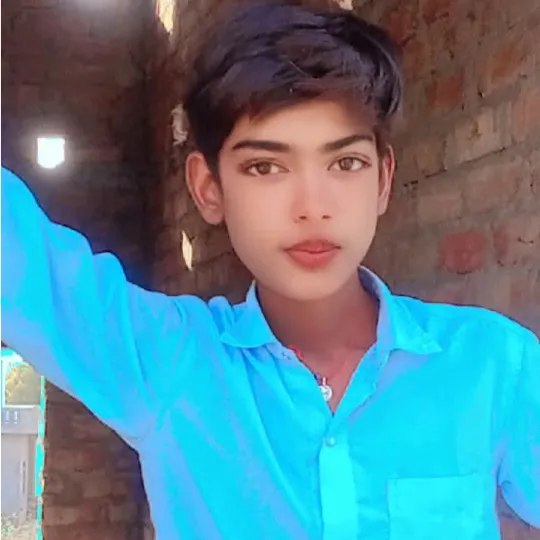 Gaju vloger