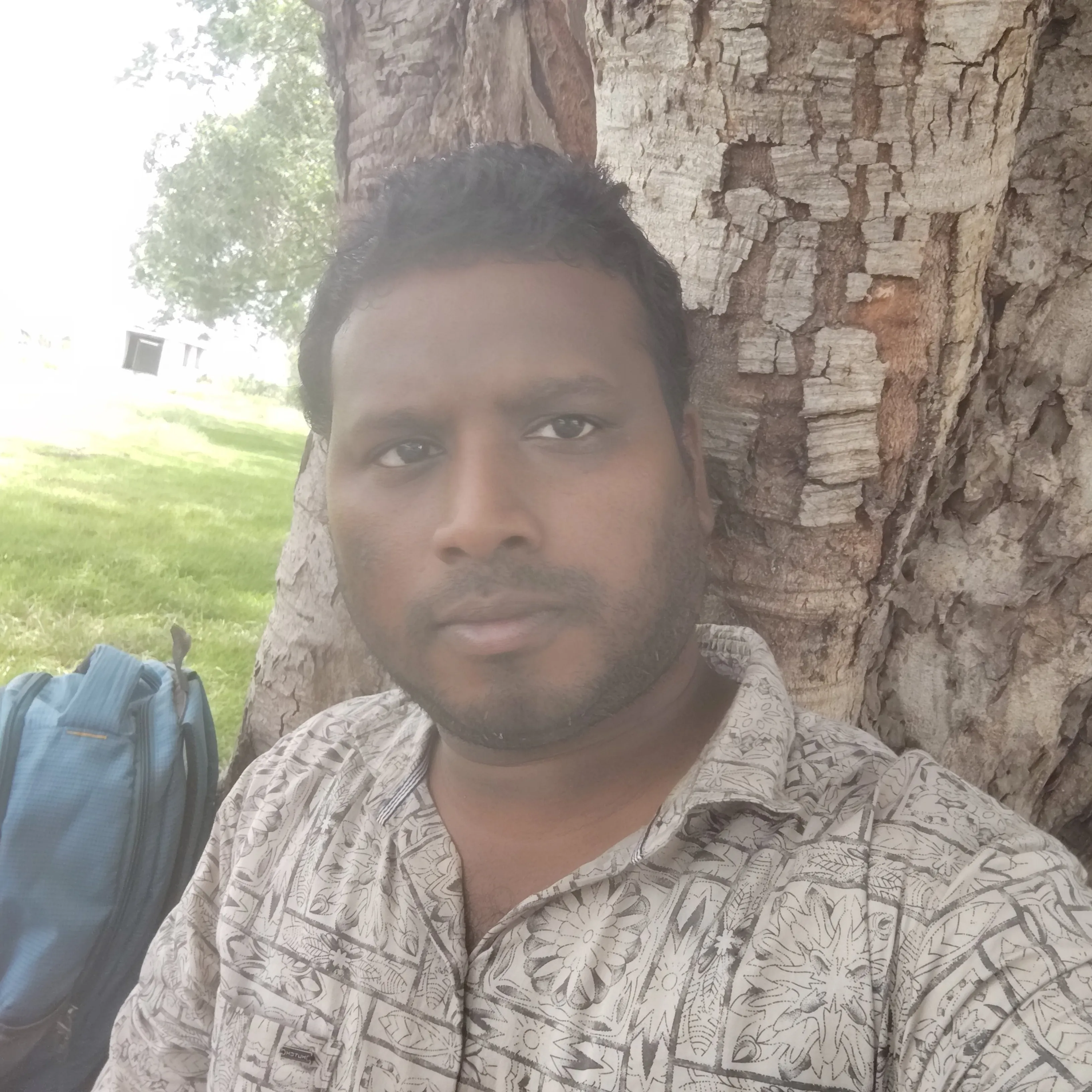 Krishna Pilaka
