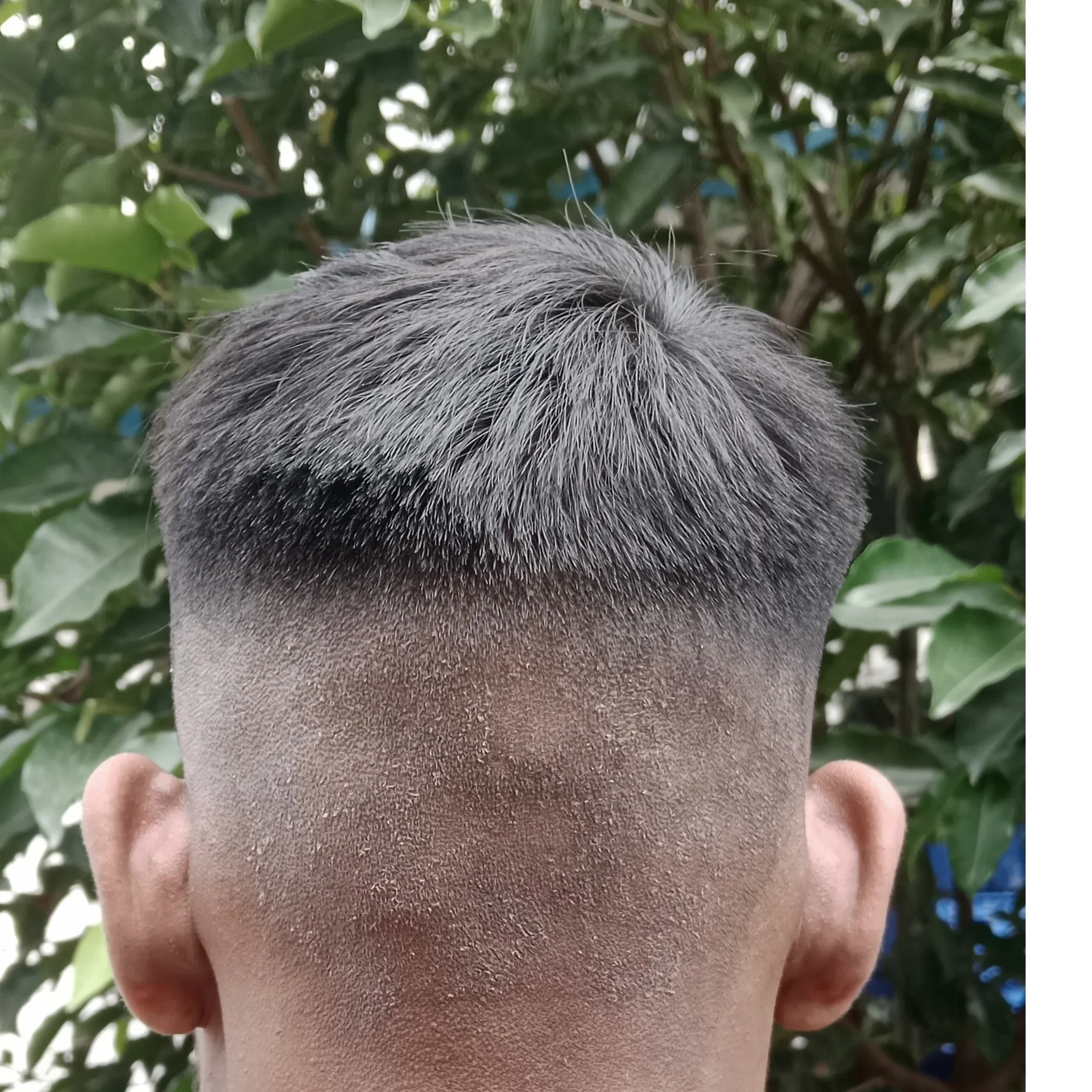 Ashish Singh