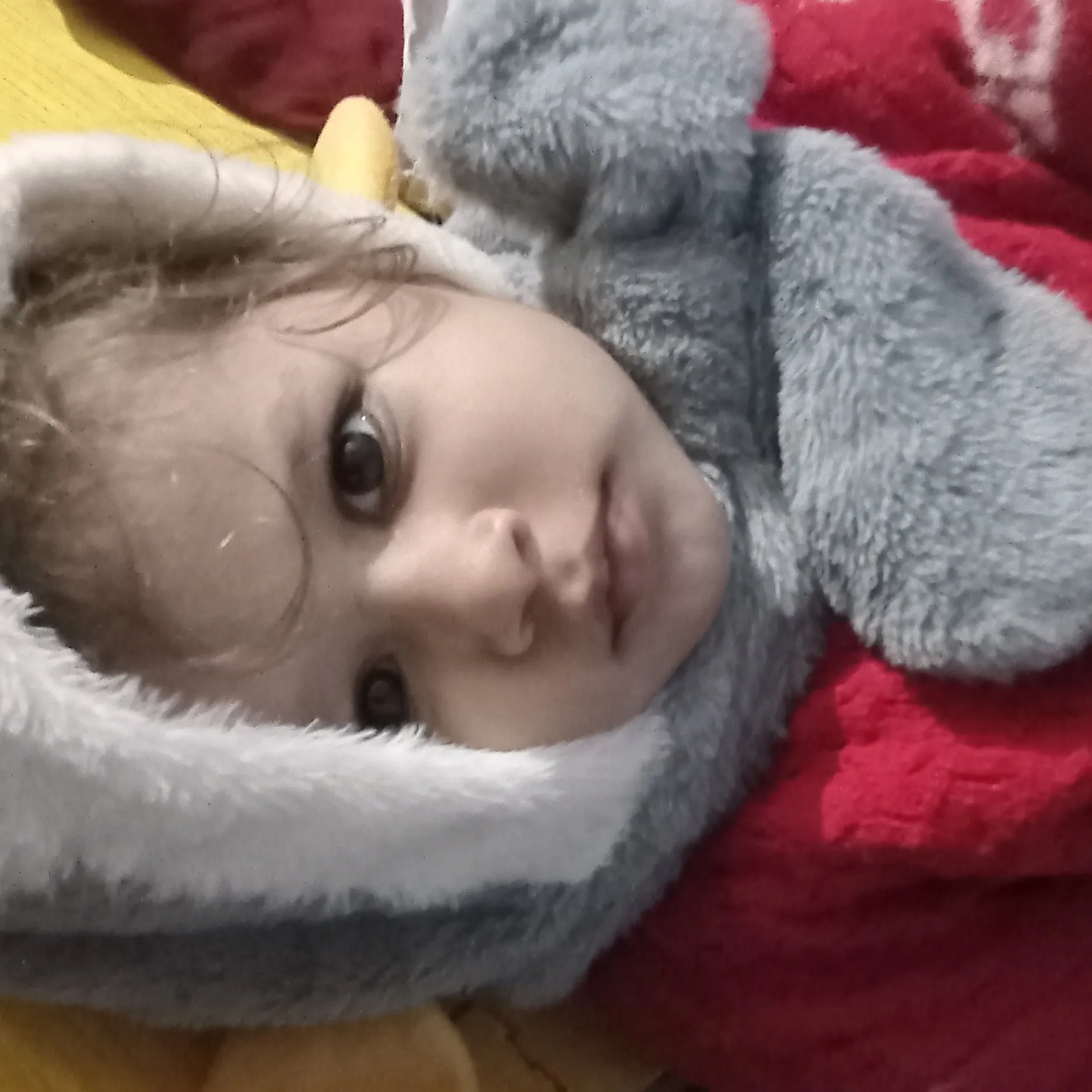 Rahul Jha