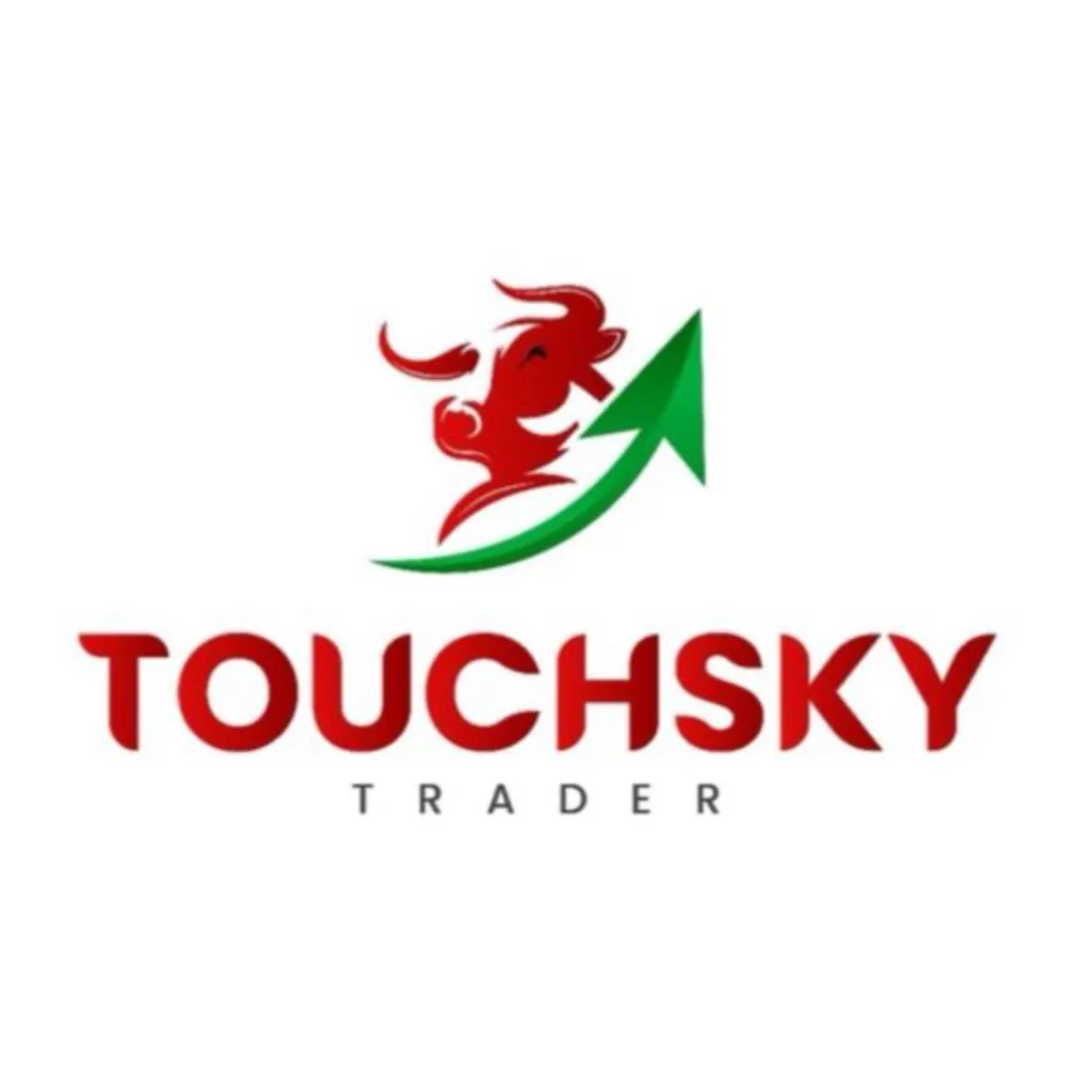 Touchsky Trader