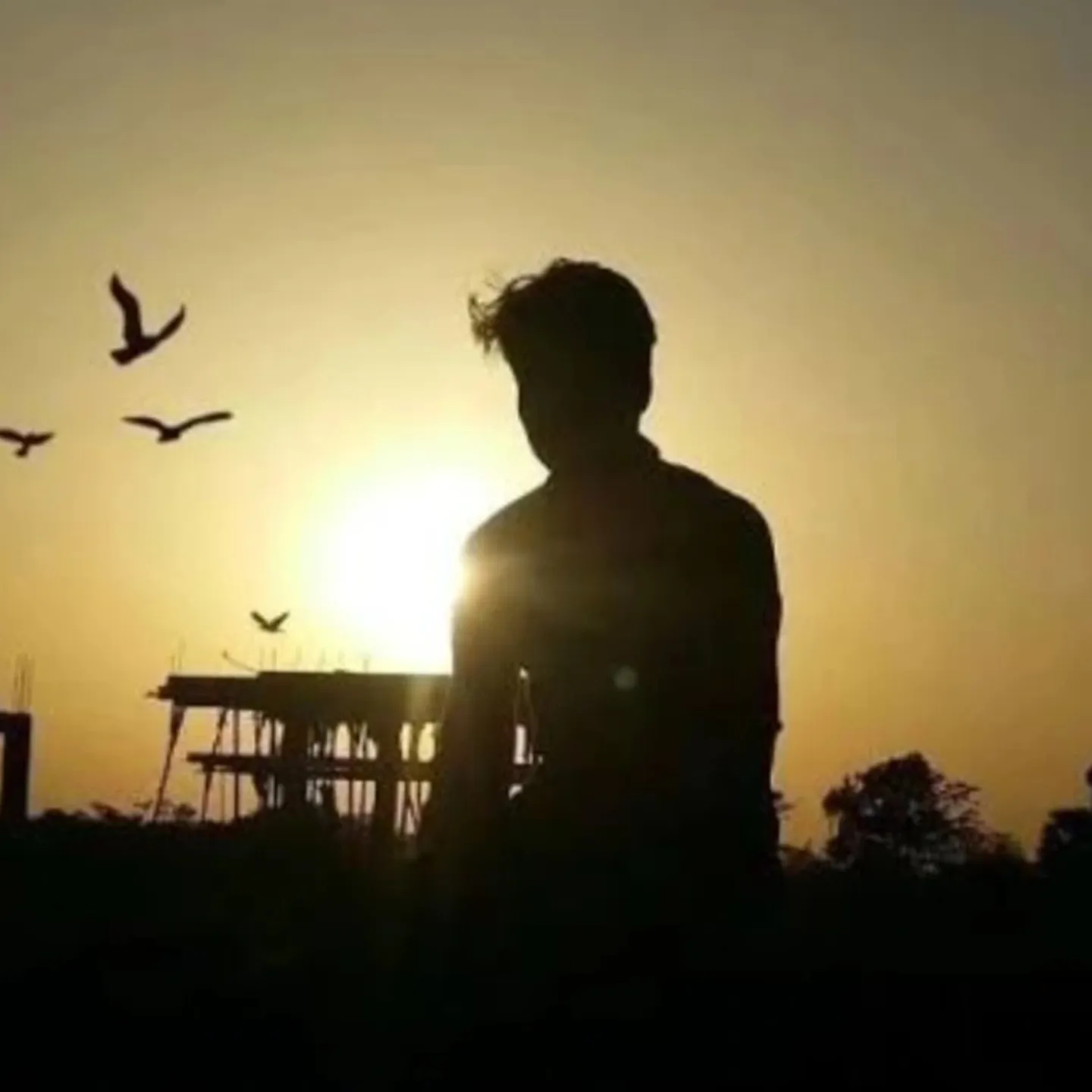 Alok yadav