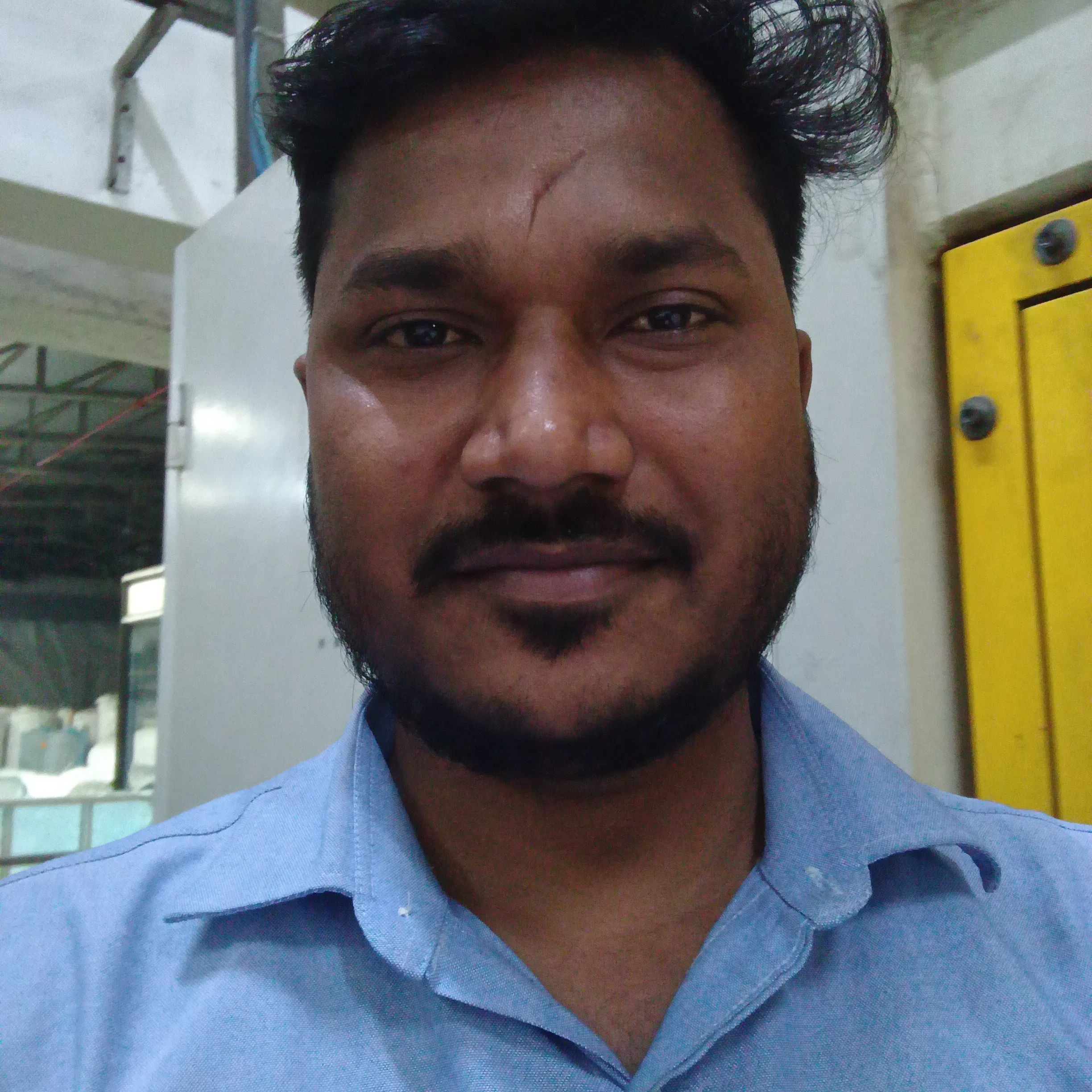 DIPUNA NAIK