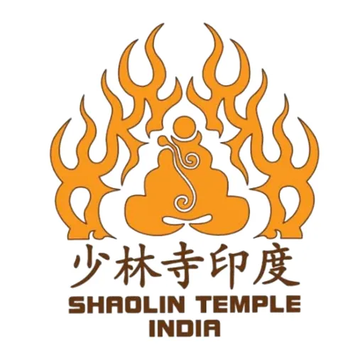 shaolin warrior369