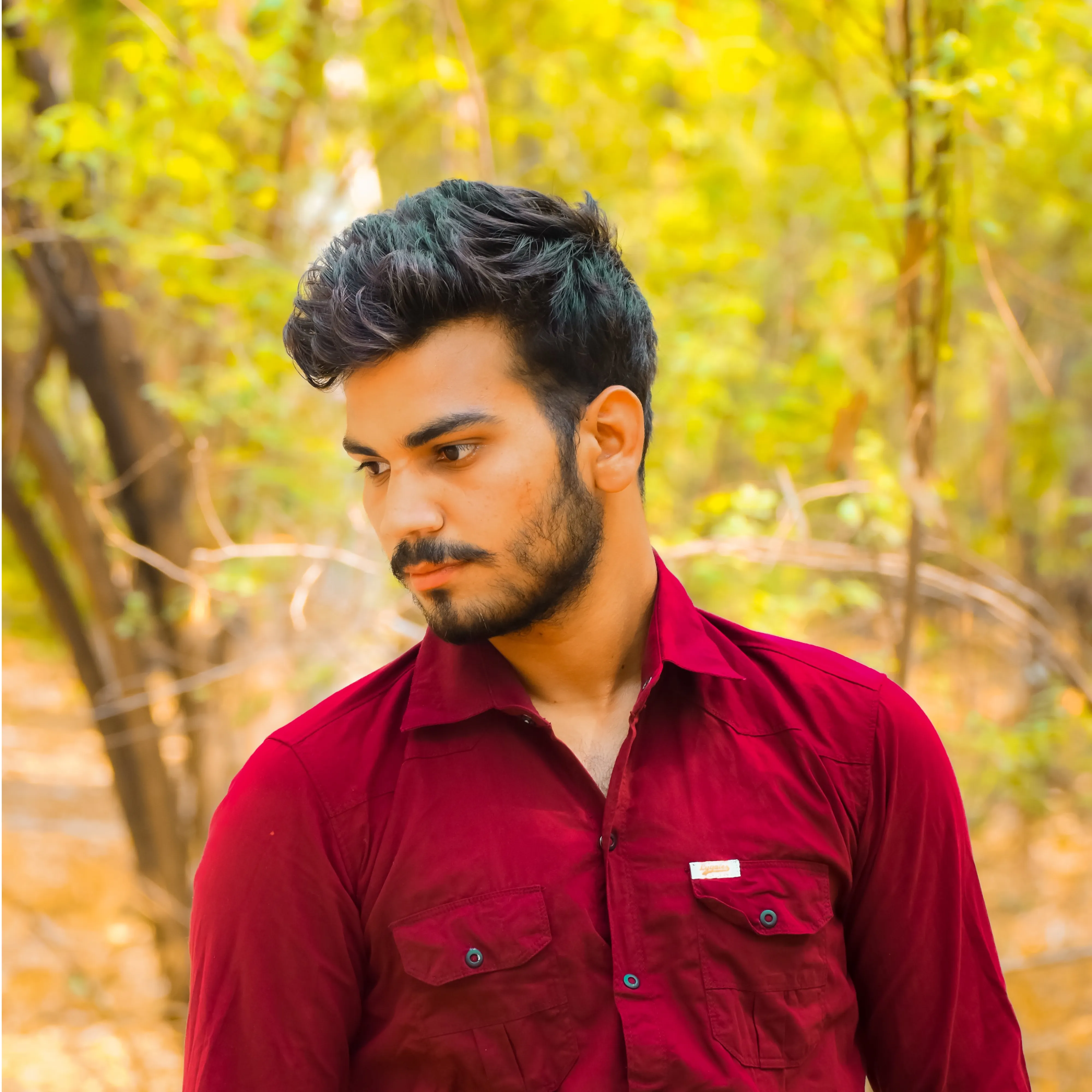 Krishna Saini