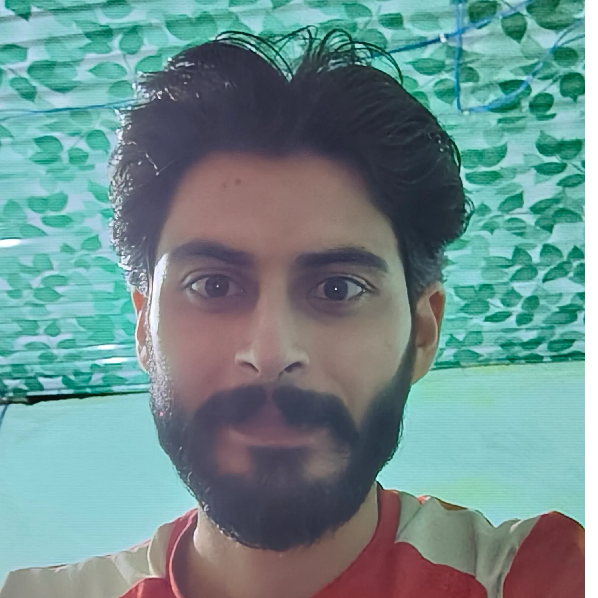 SANJAY Brahamanu