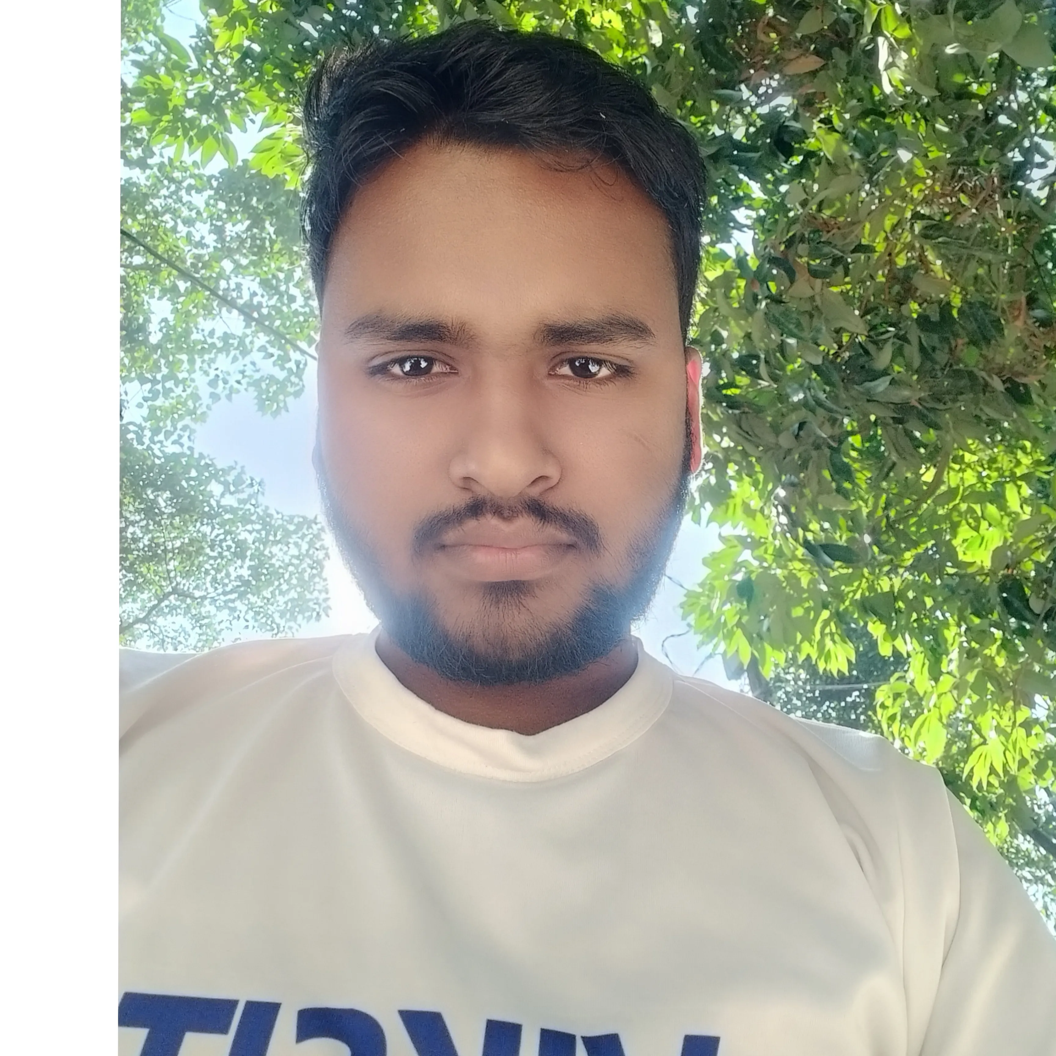 Ashis Sarka
