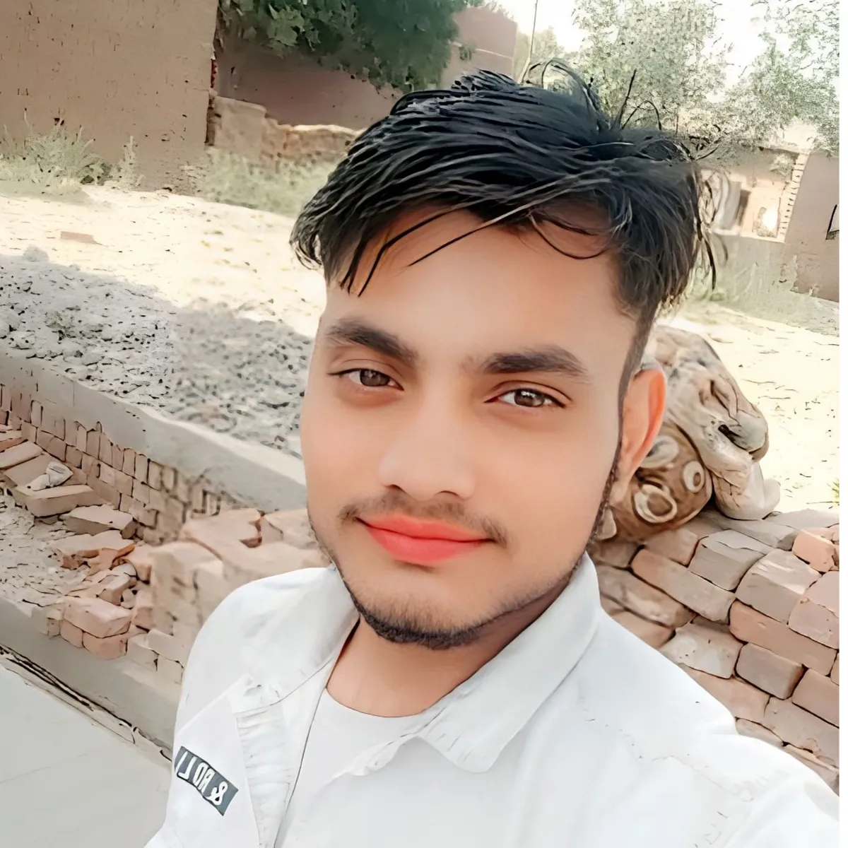 Mr Gulshan