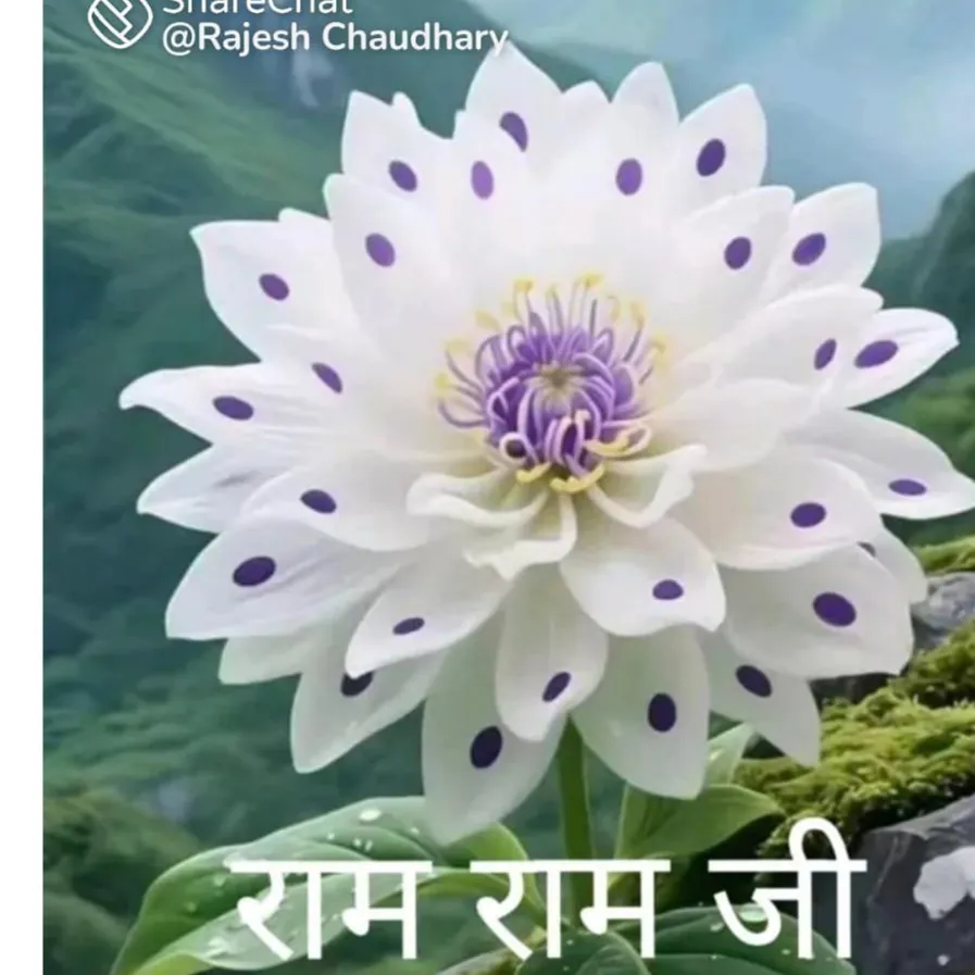 Sunil Singh