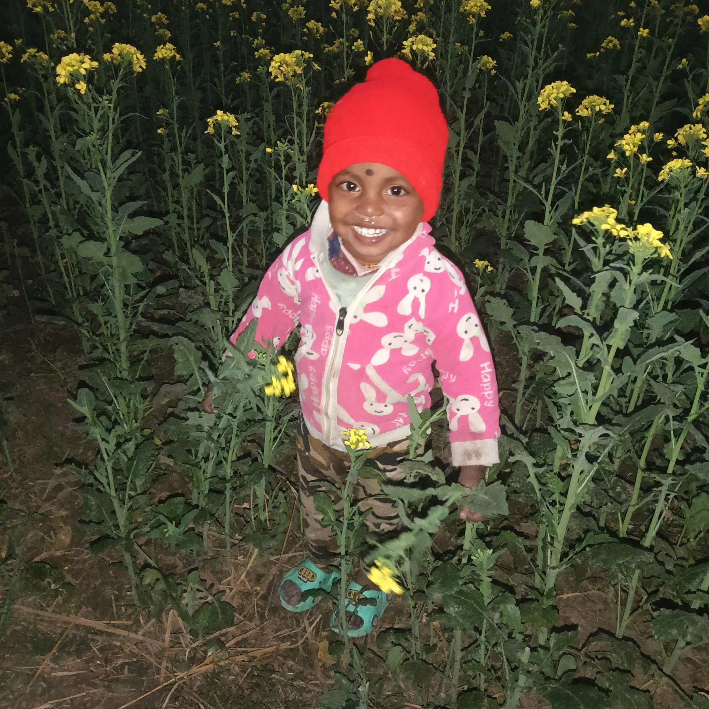sujit kumar