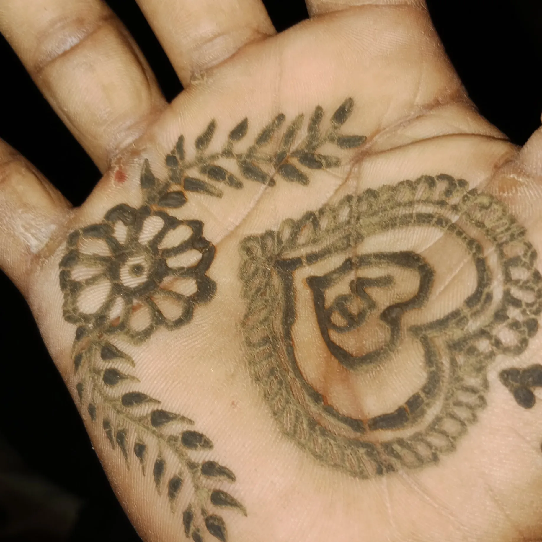Dalaram Rana14