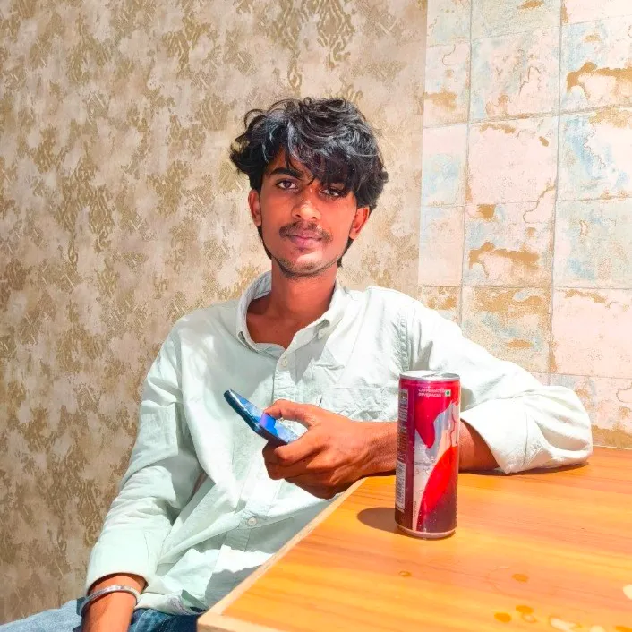 Prideep Meena