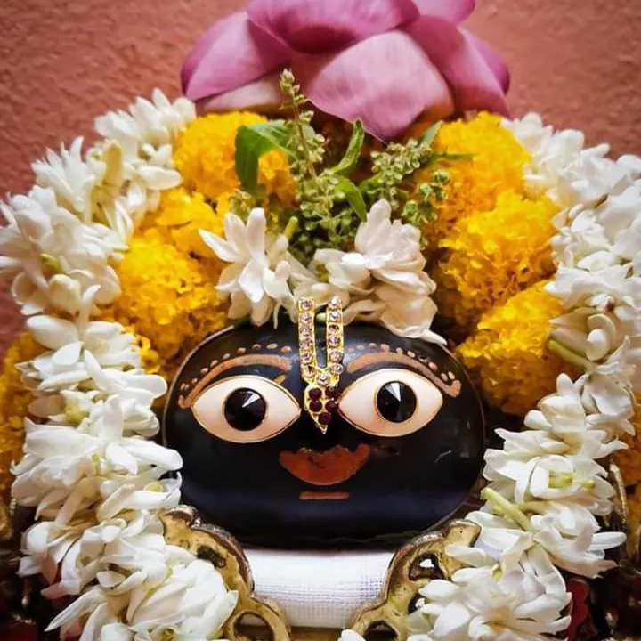 AMIT DAS