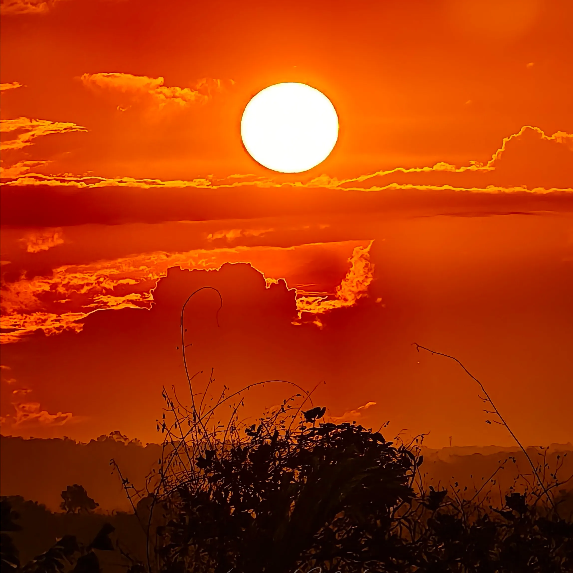 Agnivesh Mizhi