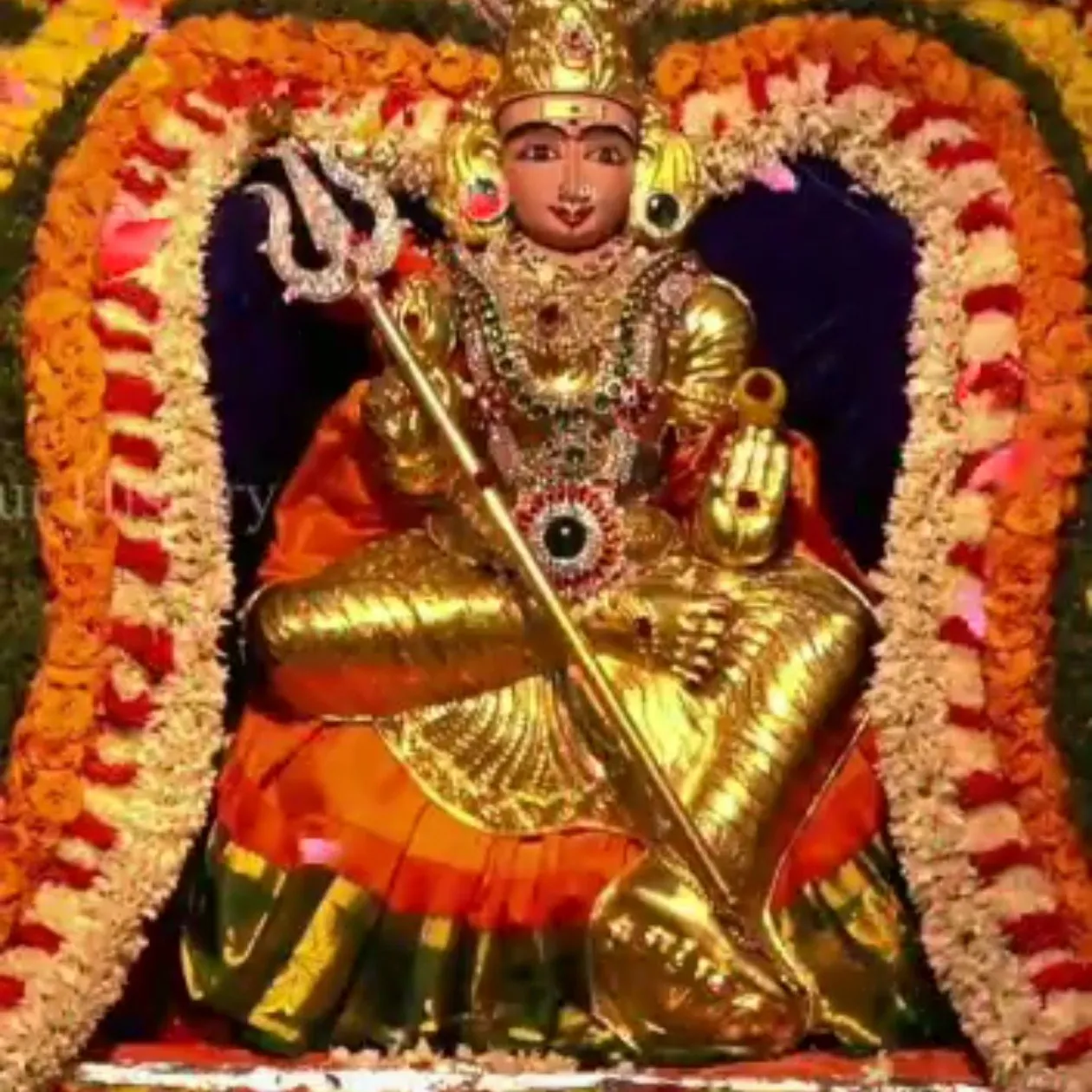 AP Rajasekhar