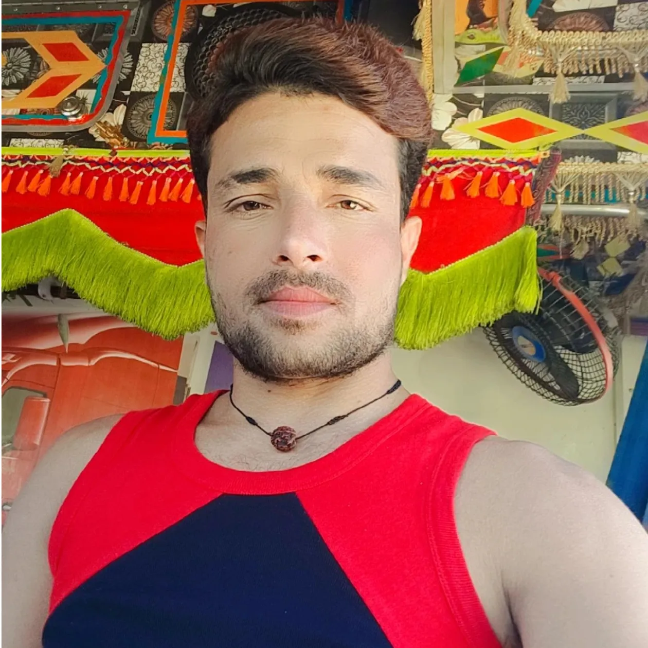Brajeshsingh Tomarrajput