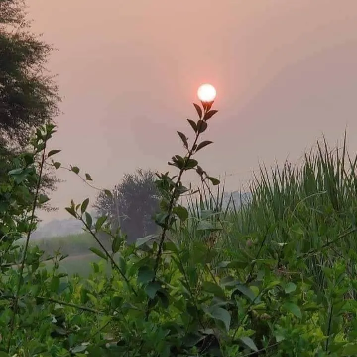 akhil verma