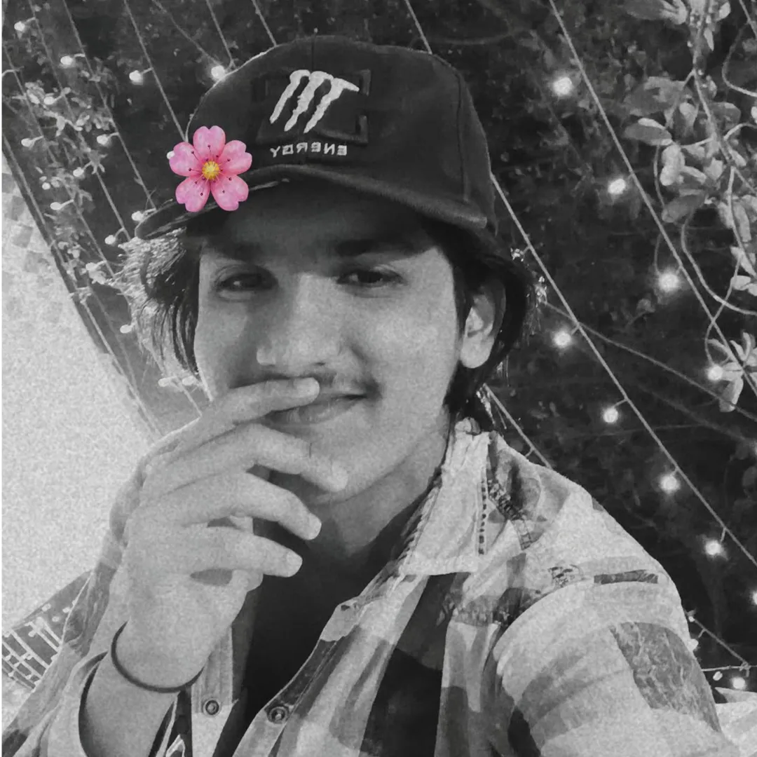 Zehen Ansari