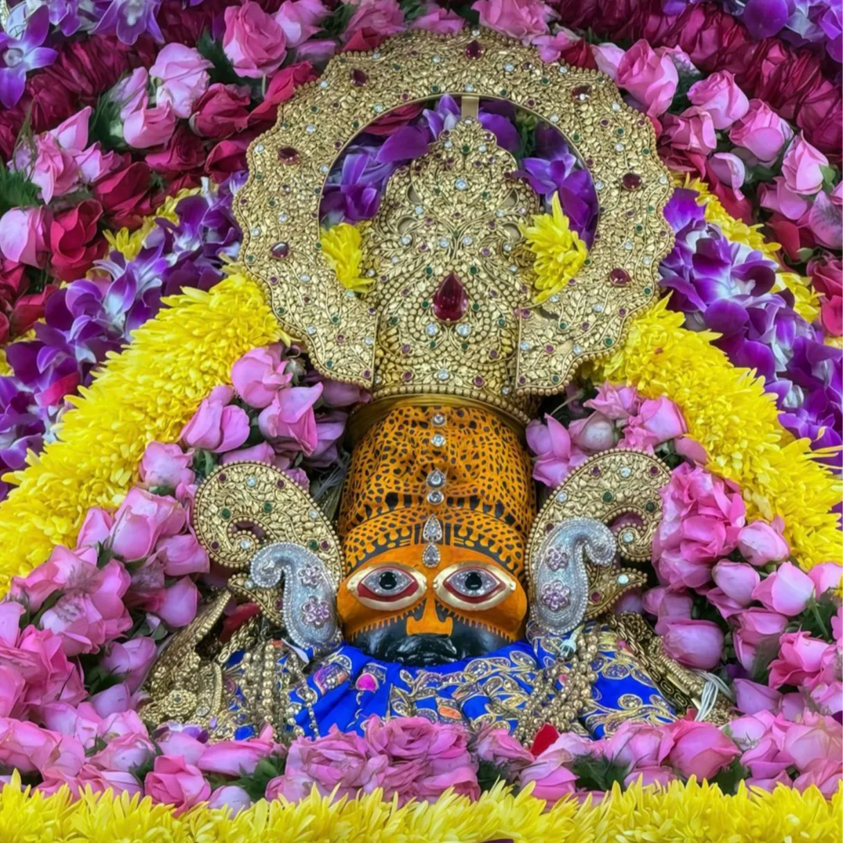 Shailesh Rohit