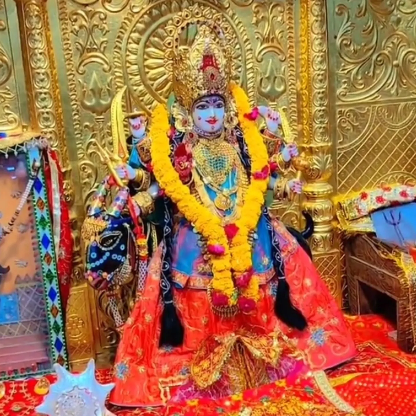 D_v _rajput_147