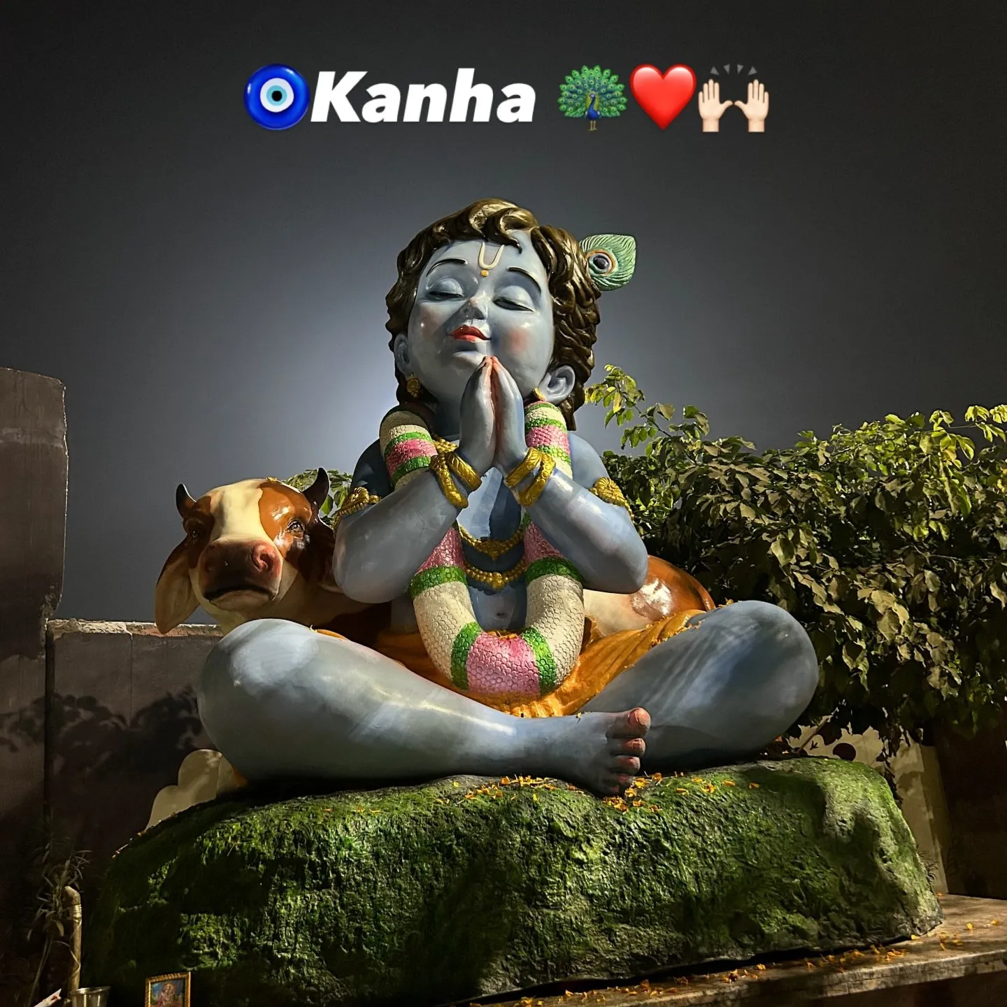 Rituraj yadav