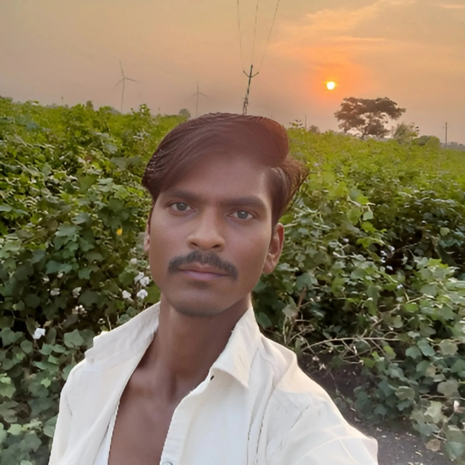 Krishna Soianki