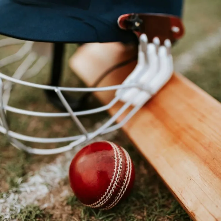 CRICKET FANS Page