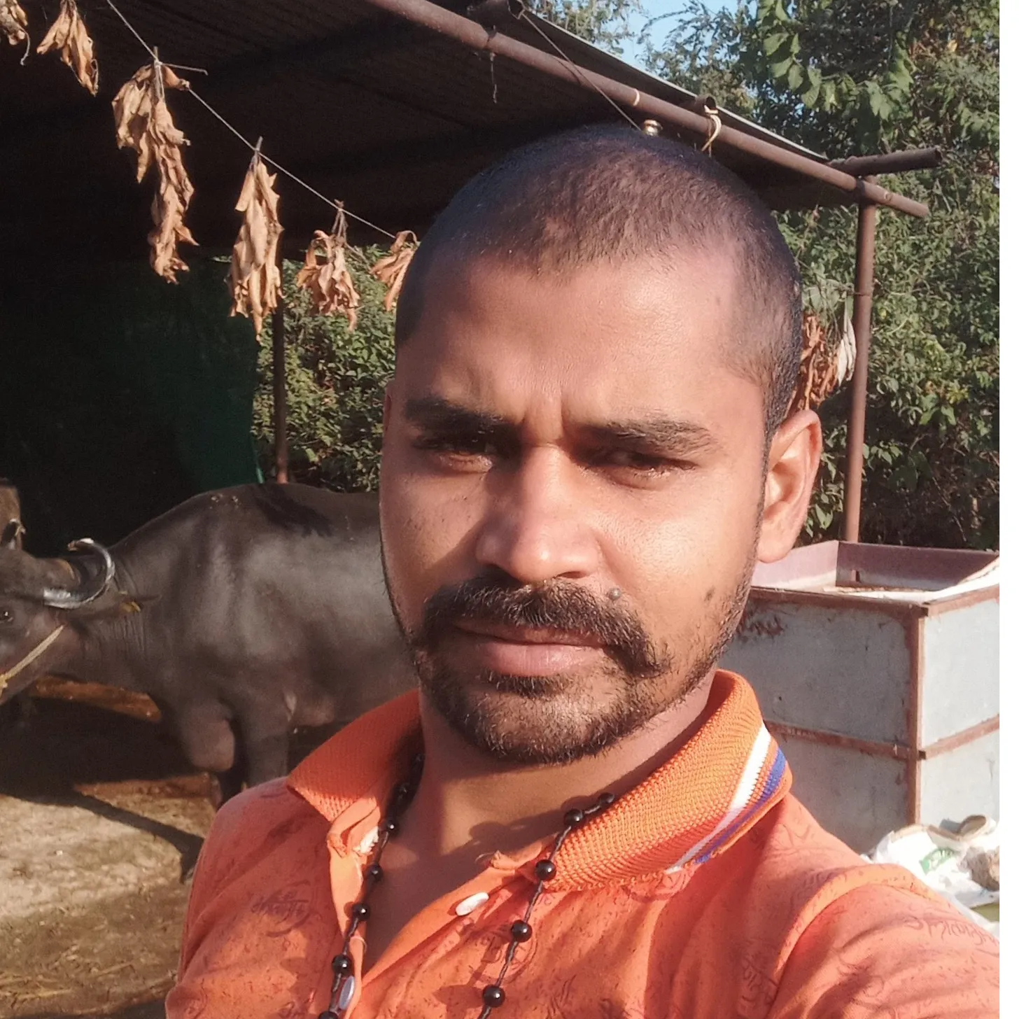 Arvind Thakur