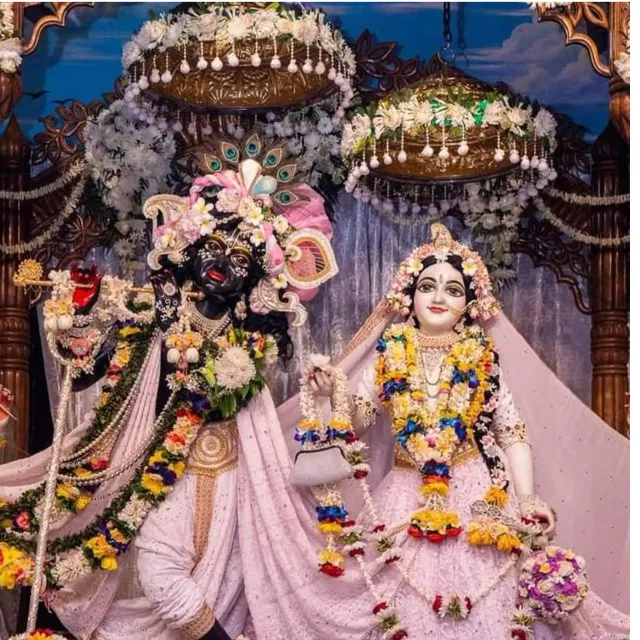 arvind rajput