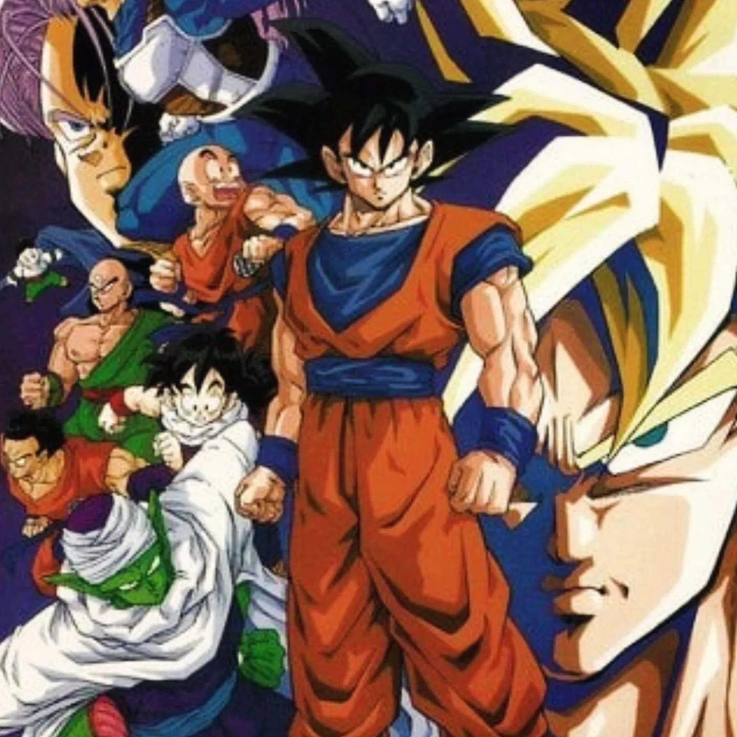Goku Sh