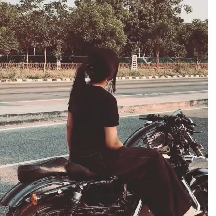 dilse diltak
