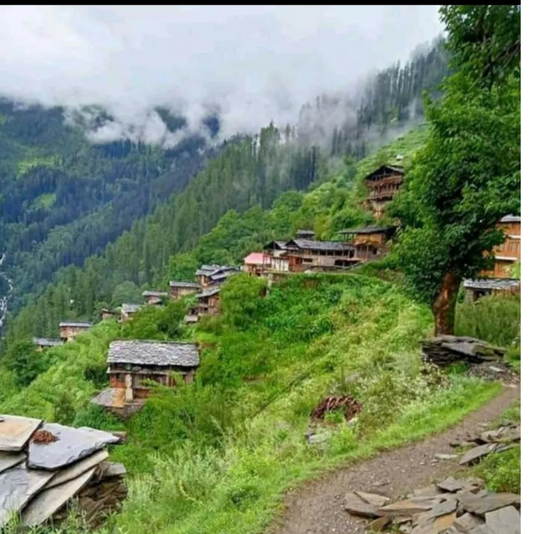 Miron Sharma