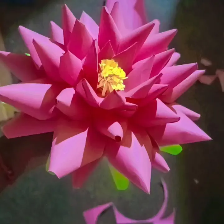 Kushana sahu