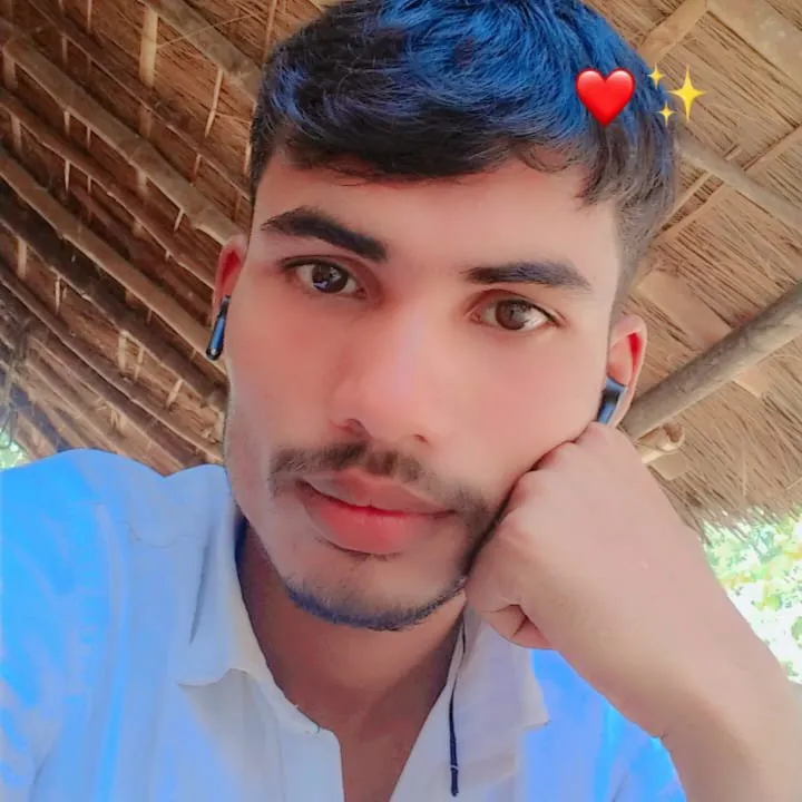 VIKAS ARYA