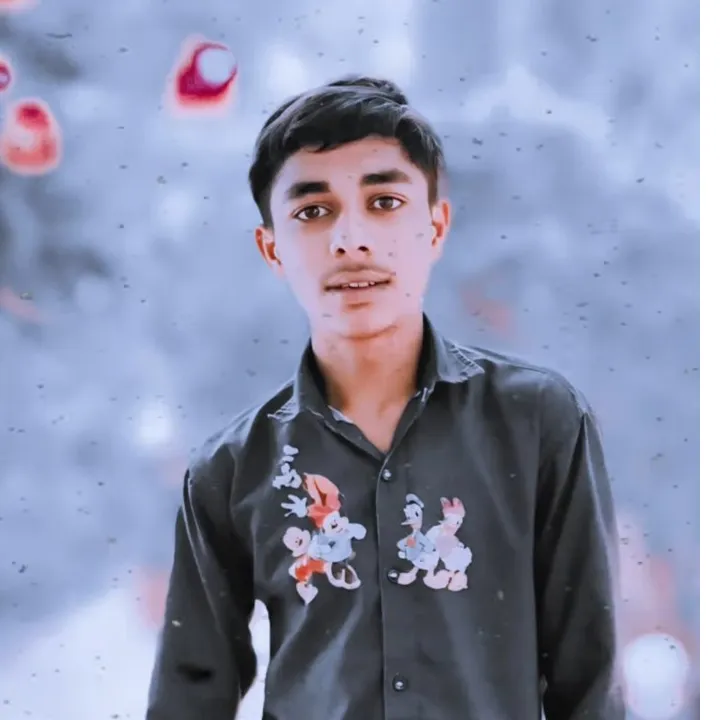 Ashoka Bhaia